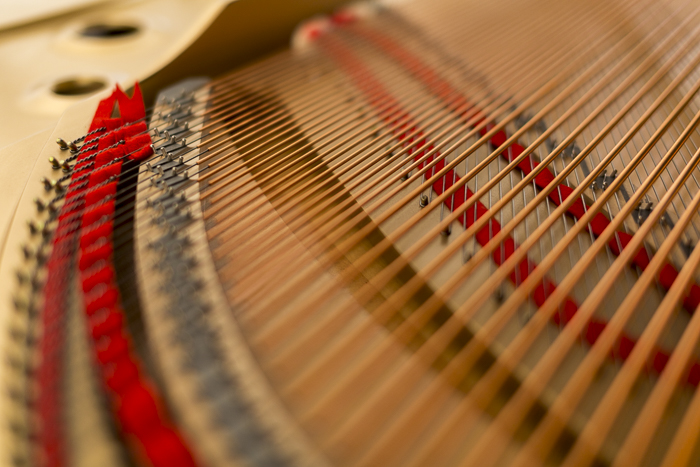 Cours de piano à domicile pour débutant, confirmé, adulte ou enfant - Paris, Vincennes, Saint-Mandé, Saint-Maurice - Elodie Mahler